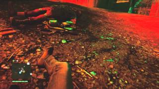 Far Cry 4 - The Burning Forest -