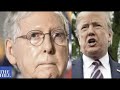 Mitch McConnell responds to Trump's 'son of a b---h' comment