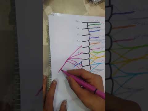 الضفيرة القطنية العجزية 