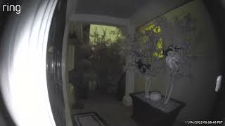 Giant Moth Attacks