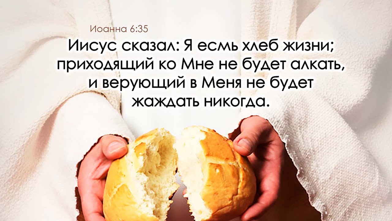 Сказанному можно прийти к. Я есмь хлеб жизни. Иисус есть хлеб жизни. Я есть хлеб жизни. Библия хлеб жизни.