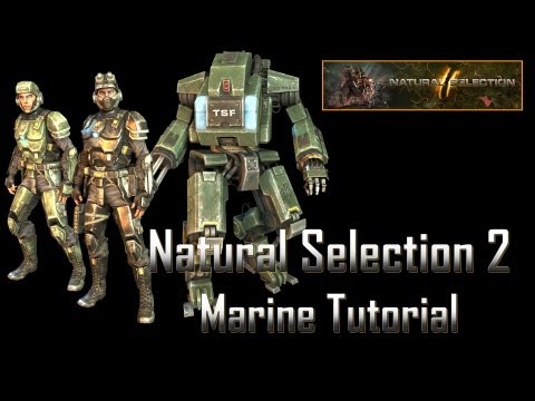Natural Selection 2 Marine Basics Tutorial