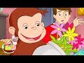 Curious George 🐵🐰EASTER Special Compilation🐰🐵Kids Cartoon 🐵Kids Movies 🐵Videos for Kids