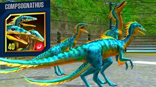 NEW LEGENDARY COMPSOGNATHUS MAX X3 LEVEL 40 | JURASSIC WORLD THE GAME