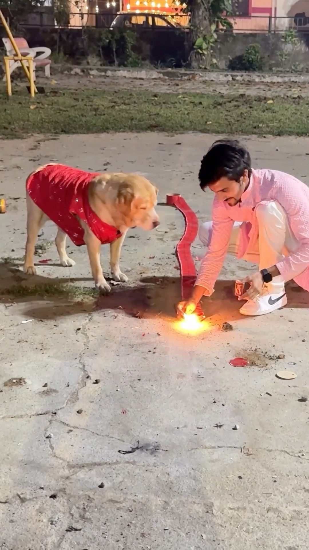 Diwali celebration with leo❤️ #shorts | Anant Rastogi
