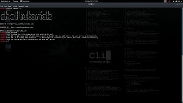 Kali linux - Information Gathering - DNS Analysis - dnsenum
