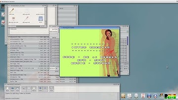 Amiga - Porting for Profit - Ambassador of Pain Intro