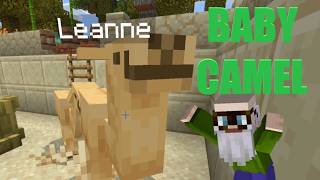 The Minecraft Wiki is Wrong About This