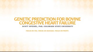 Genetic Prediction for Bovine Congestive Heart Failure