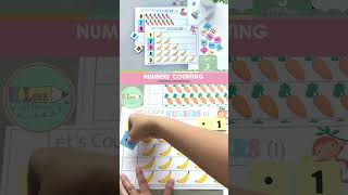 Preschool Numbers Counting Matching Activities for Kids Number Recognition Fine Motor Skills
