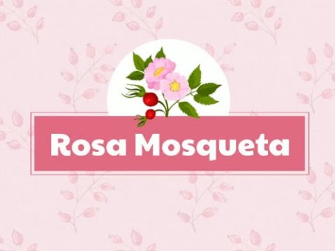 Video: Rosa Mosqueta: Propiedades Beneficiosas Y Aplicación
