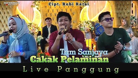 Lagu Lampung viral - CAKAK PELAMINAN - Live panggung - Tam Sanjaya - Cipt. Robi Ratai