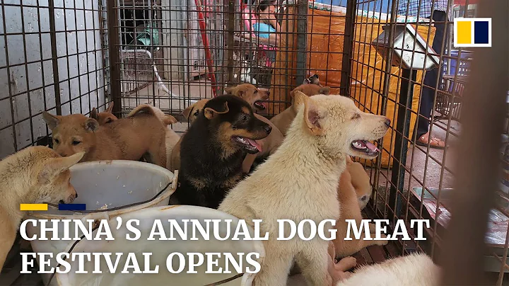 China’s annual 10-day dog meat festival opens despite government’s discouragement - DayDayNews