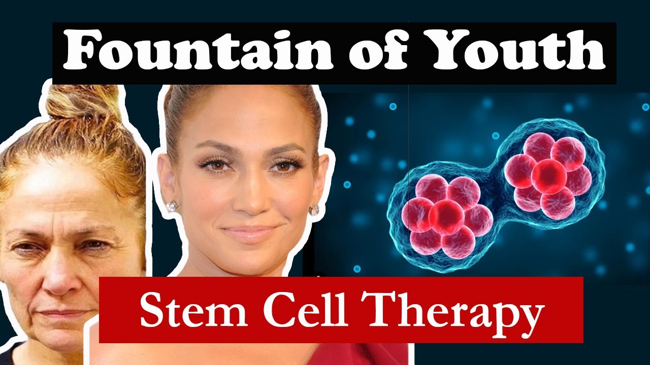 All about Stem Cell Therapy | Why its perfect for Anti-Aging and healing Injuries.