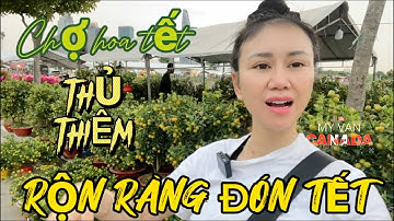 CHỢ HOA TẾT THỦ THIÊM RỘN RÀNG ĐÓN TẾT VỚI VIEW SÔNG CỰC ĐẸP