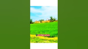 #batdongsan #datgiare #nhadep #bdscangiuoclongan #bán_đất_mặt_tiền #datnengiare