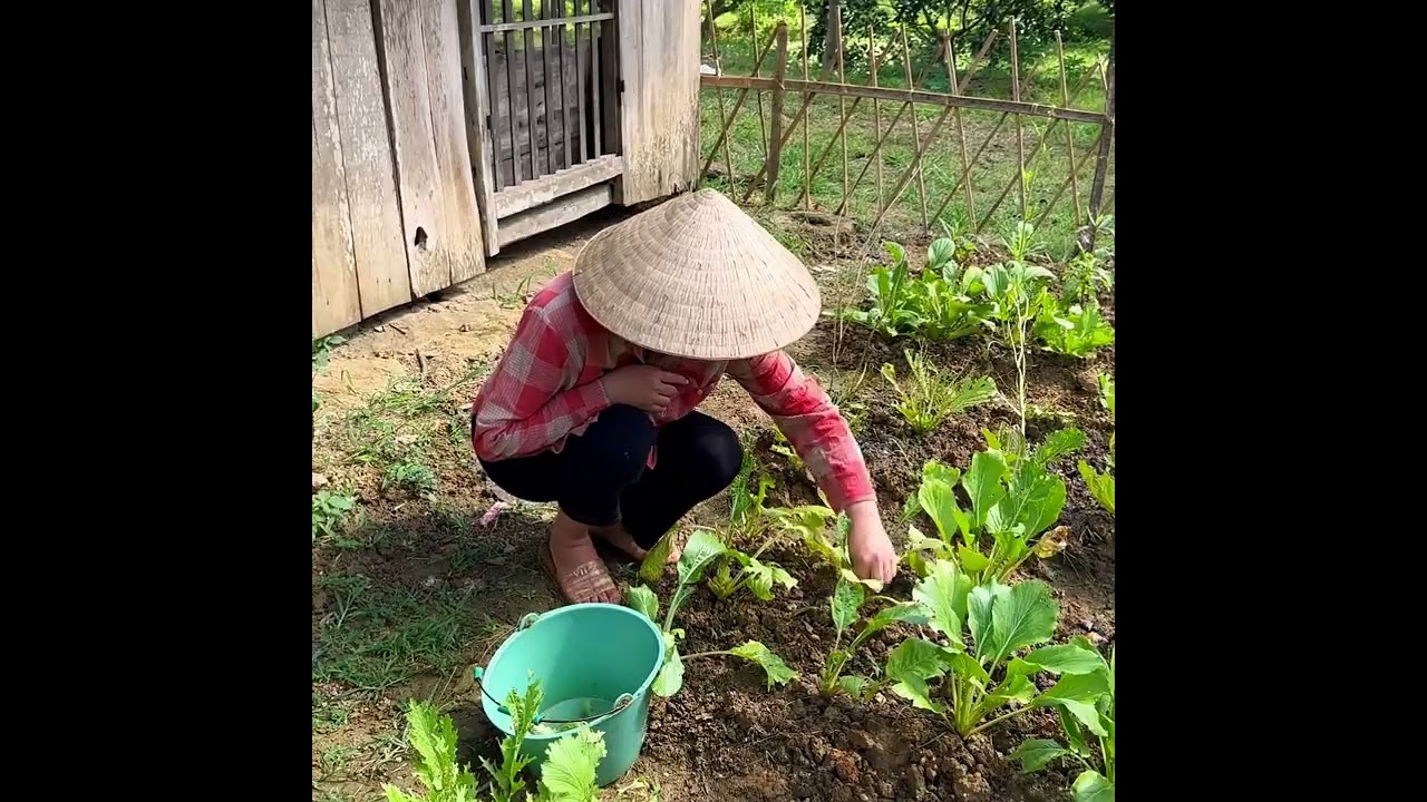 CEO busy with a day of gardening