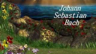 Johann Sebastian Bach - Kyrie Eleison