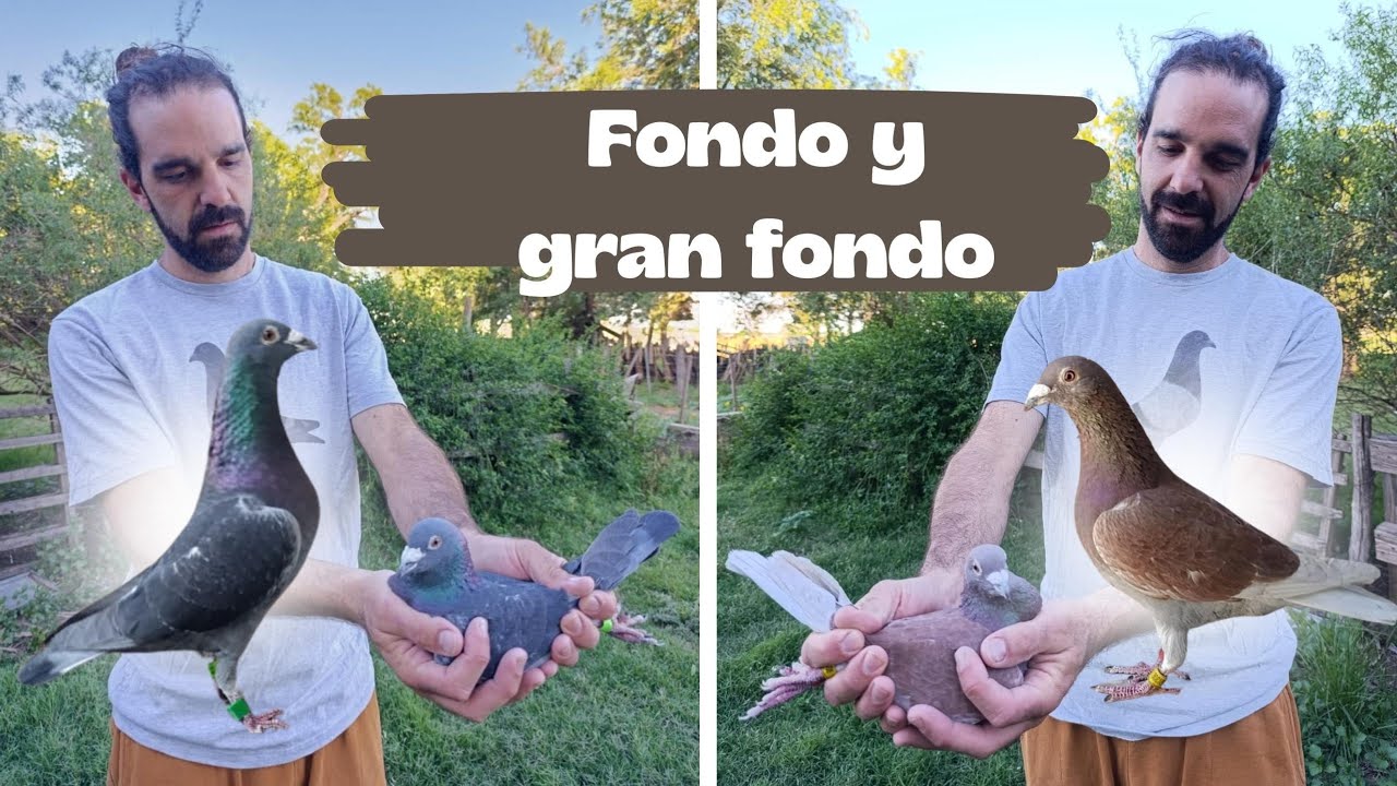 Visita a Nicolas Labari, Río Cuarto, Argentina 