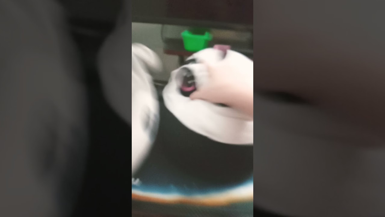 ty squish a boo hello mine turtle (NOT MY SOUND)