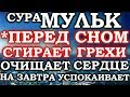 СУРА МУЛЬК ПЕРЕД СНОМ СТИРАЕТ ГРЕХИ, ОЧИЩАЕТ ДУШУ НА ЗАВТРА, УСПОКАИВАЕТ - СПОКОЙНЫЙ СОН