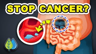 Top 10 ANTI CANCER foods you need to eat