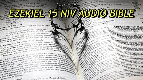 EZEKIEL 15 NIV AUDIO BIBLE(with text)