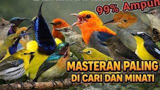 Download Lagu SUARA PIKAT BURCIL 💯% AMPUH TERUJI MP3