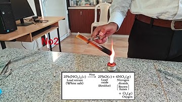 Lead Nitrate Thermal Decomposition | Class 10 Chemistry Practical | Activity 1.6