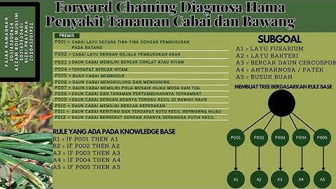 Implementasi Aplikasi Sistem pakar Forward Chaining Diagnosa Hama Penyakit Tanaman Cabai dan Bawang