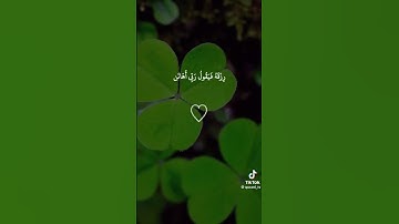 #تلاوة_خاشعة #قران_كريم #quran #احمد_العجمي #مشاري_العفاسي #محمد_رسول_الله #راحة_نفسية #آية_الكرسي