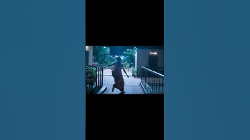 Amaran #amaran #sivakarthikeyan #saipallavi #bgm #music #edit #editing #trending