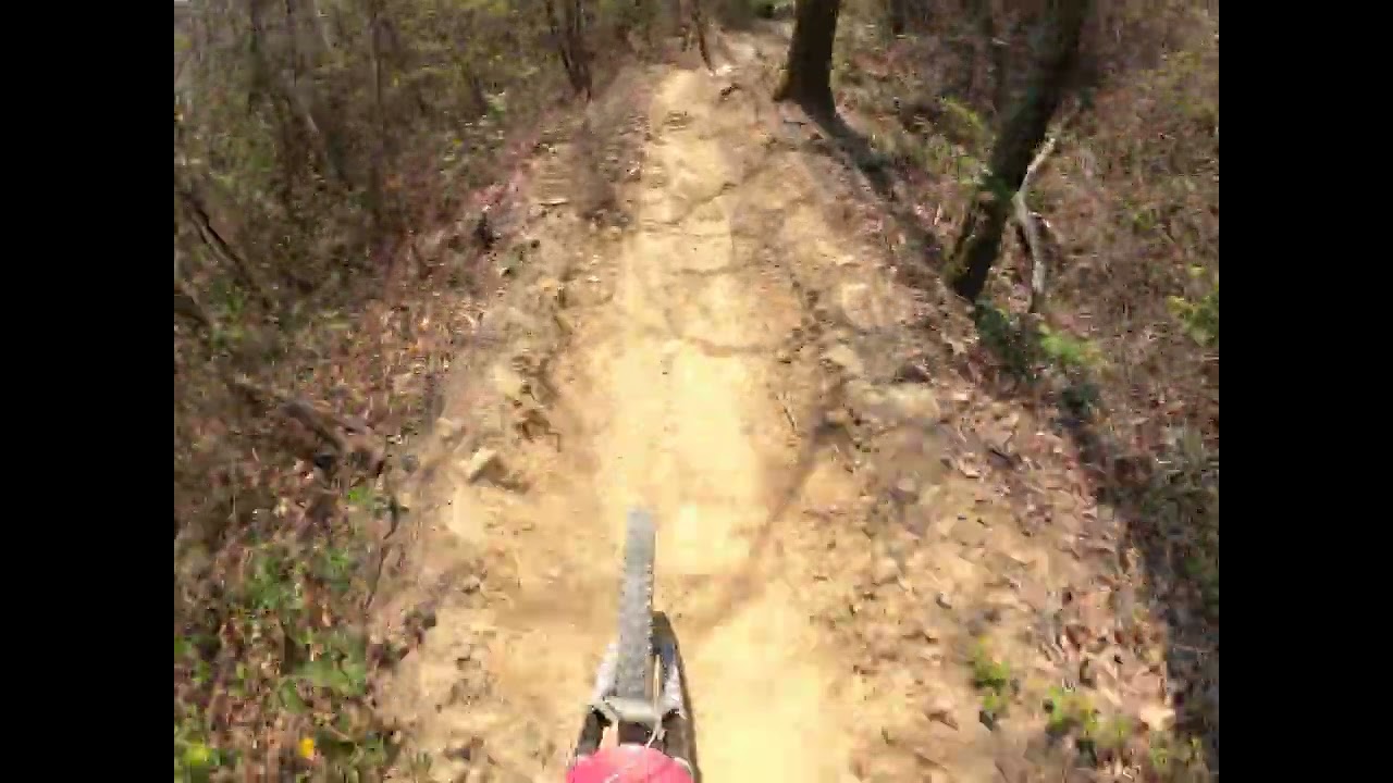 Downhill Casiraghi San Genesio