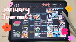 January Diary on iPad Air 4 🍏| GoodNotes 5 | Digital journal with me 💕 Nurse log screenshot 5