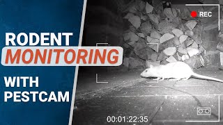 Rodent monitoring with our PestCam screenshot 5