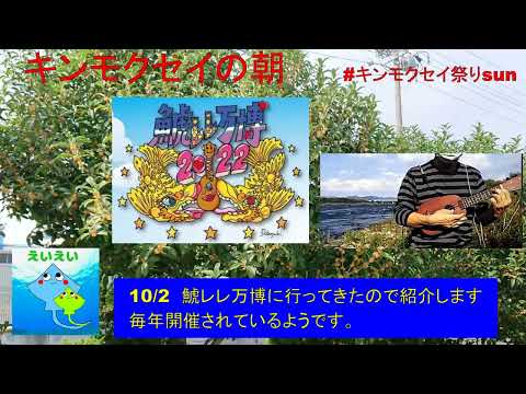 キンモクセイの朝sun
