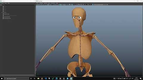 Control Rig - 27 - Character 01 - Hello SkeleTron, Axial and Appendicular.