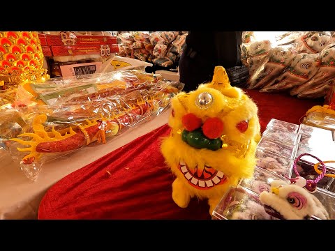The 2025 Chinese New Year Celebration in Honolulu - Year of the