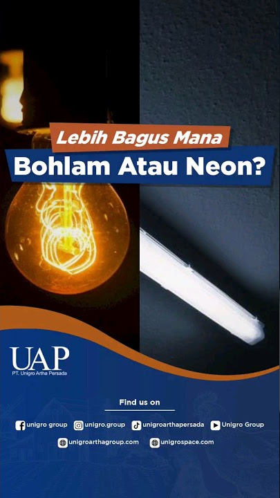 UNTUK PETERNAKAN AYAM, LEBIH BAGUS LAMPU BOHLAM ATAU NEON? #LampuAyam #LampuPeternakan #ternakayam