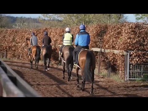 This racing life: behind the scenes with breeze up consignors malcolm bastard and ws equine