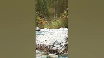 Full Video Https Www Youtube Com Watch V AN4kmqlN2Bg T 16s A Stream In The Forest And Birdsong 