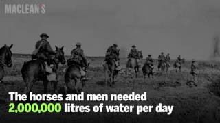 The Battle of Vimy Ridge by the numbers