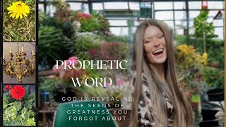 Prophetic Word: God is About to Reveal the Greatness He Placed in You