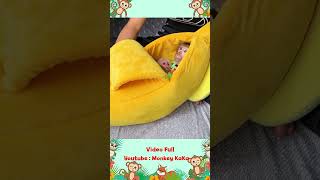 Monkey Hair Red hugs baby monkey Mit sleeping in a beautiful new bed part 2