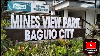 Mines View Park 🌲 Baguio City