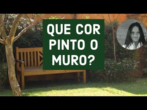 Que cor pintar o MURO- DESCUBRA A MELHOR COR PARA PINTAR | Decorei Tudo