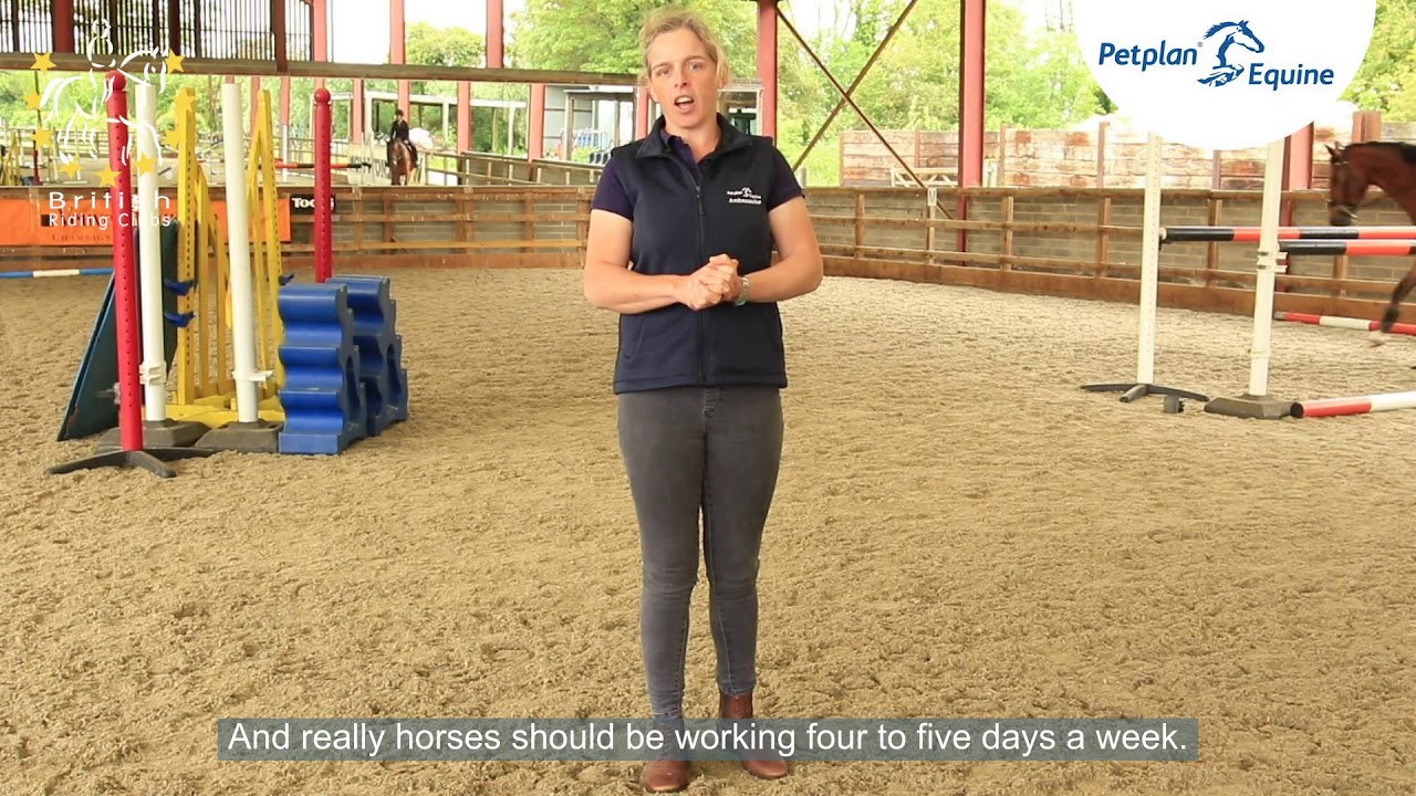 camera iphone 8 plus apk Fitness for the Competition Horse