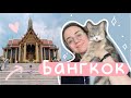 ✨как я переехала в таиланд с кошкой? бангкок, открываю счет, тайский поезд