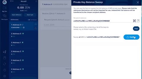 Recovering Wallets And Using Balance Sweep On SBH