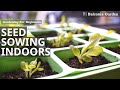 How to sow seeds indoors complete guide and aftercare balconia garden